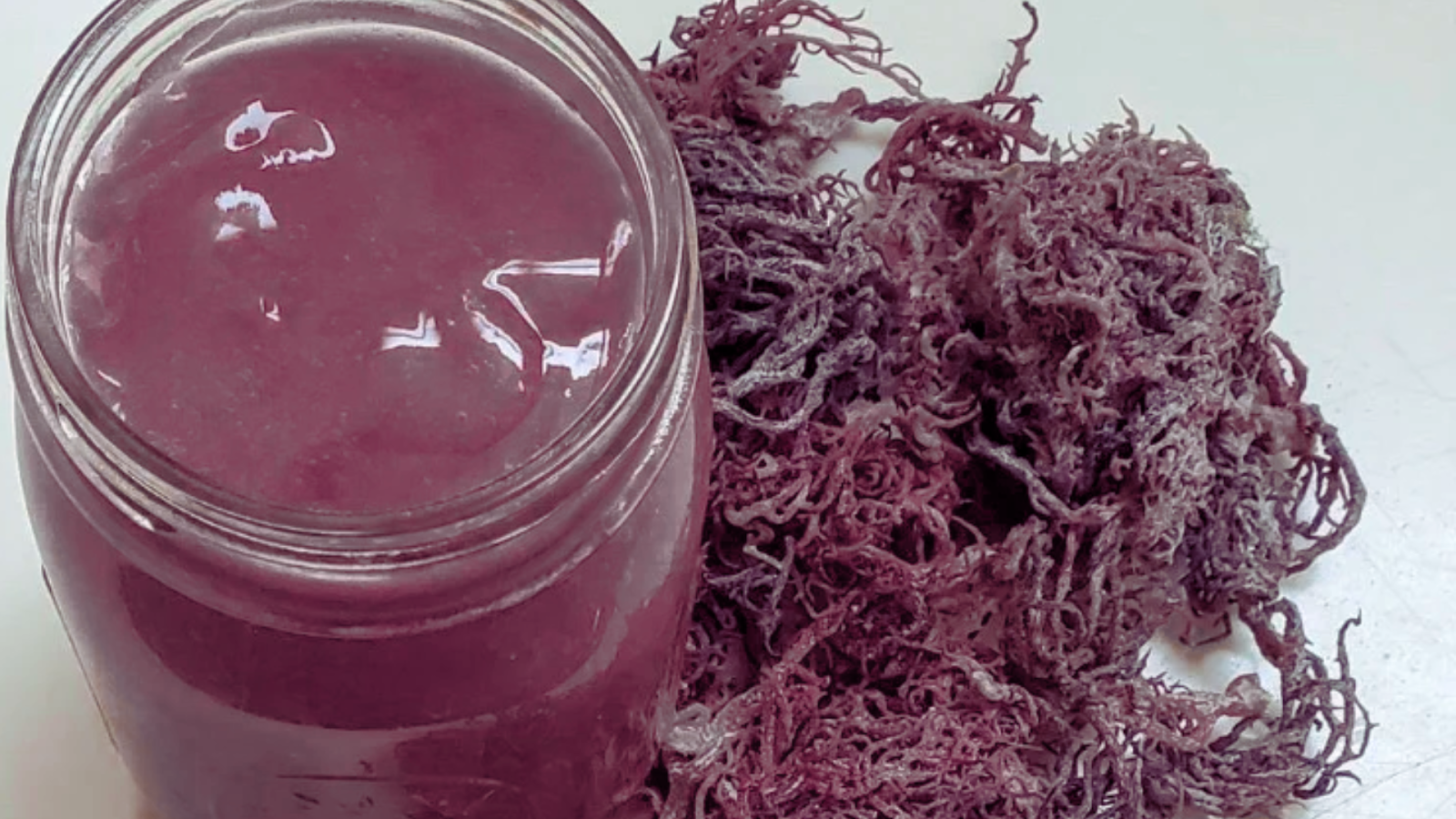 Purple Sea Moss V/S Gold? Benefits, Taste, And Use